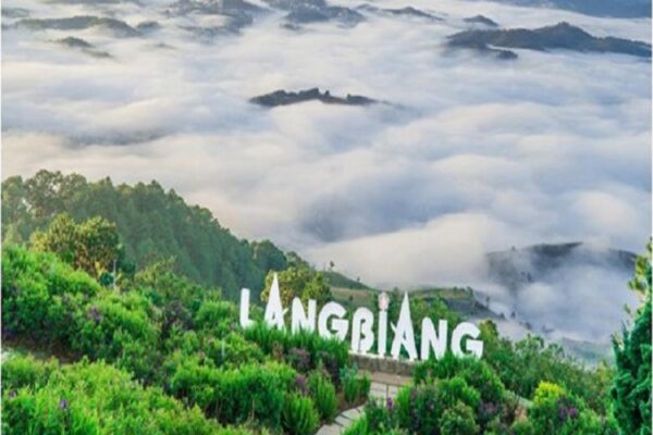 Quang cảnh thiên nhiên tuyệt mỹ ở Langbiang