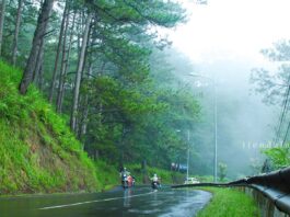 Đà Lạt mùa mưa - Ảnh 1