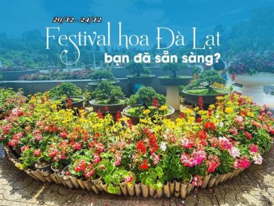 "Cơn sốt" lễ hội Festival Hoa Đà Lạt 2020 dự kiến thu hút nhiều khách du lịch