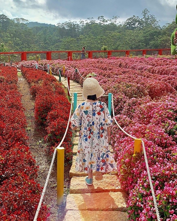 Làng hoa Vạn Thành