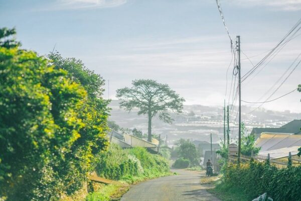 Khám phá lịch sử về Đà Lạt: Tìm lại miền đất ngập tràn sắc hoa nơi phố núi - Ảnh 8