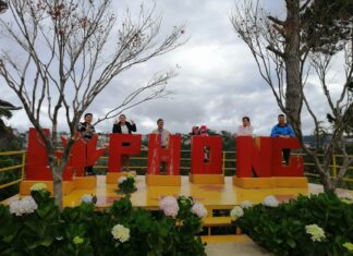 Rừng lá Phong dalat đổi màu, ngày Đà Lạt bỗng lạnh hơn