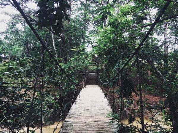 Cầu treo ở Thung Lũng Vàng không quá cao nhưng sở hữu cảnh sắc thiên nhiên thơ mộng