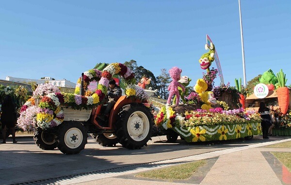 Đà Lạt đã trải qua 8 kỳ Festival Hoa lớn và năm 2021 chính là kỳ Festival Hoa lần thứ IX