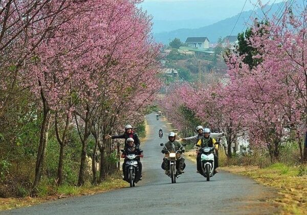 Hình ảnh du khách đi xe máy đến tham dự lễ hội Festival Hoa Đà Lạt