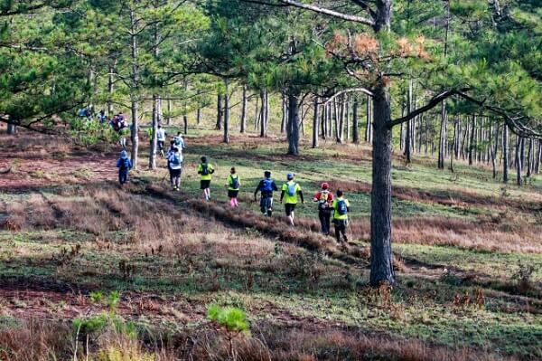 Dalat Ultra Trail 2021 trở lại với lịch trình truyền thống vào tháng 3