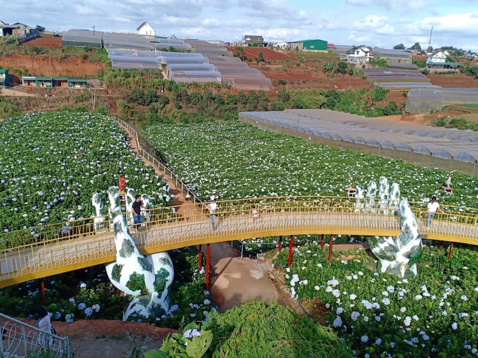 Cầu vàng ở Đà Lạt