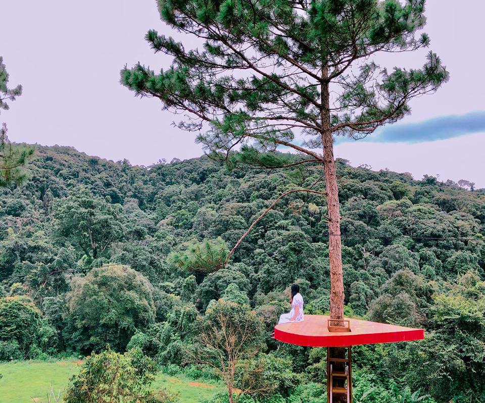 Hoa Sơn Điền Trang