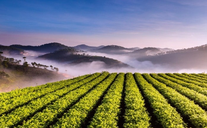 Trại mát Đà Lạt